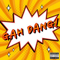 Thumbnail for the Intrinzik - Gah Dang! link, provided by host site