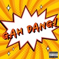 Thumbnail for the Intrinzik - Gah Dang! link, provided by host site