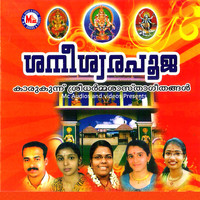 Image of Sujith Krishnan linking to their artist page due to link from them being at the top of the main table on this page