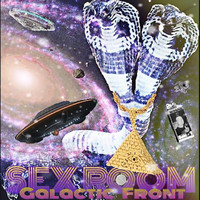 Thumbnail for the Sex Room - Galactic Front link, provided by host site