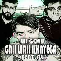Thumbnail for the Lil Golu - GALI WALI KHAYEGA link, provided by host site