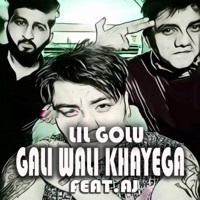 Thumbnail for the Lil Golu - GALI WALI KHAYEGA link, provided by host site