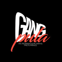 Thumbnail for the Mc Pedrinho - gang pula link, provided by host site