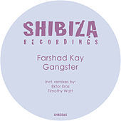 Thumbnail for the Farshad Kay - Gangster link, provided by host site