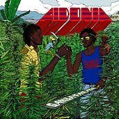 Thumbnail for the Aidonia - Ganja Farmer link, provided by host site