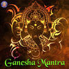 Thumbnail for the Rajalakshmee Sanjay - Ganjananam Bhuta Ganadi (Ganesha Mantra) link, provided by host site