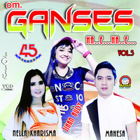 Thumbnail for the Mahesa - Ganses, Vol. 5 link, provided by host site