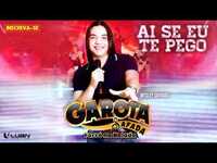Thumbnail for the Wesley Safadão - Ai Se Eu Te Pego [CD Forró na Balada] link, provided by host site