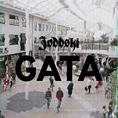 Thumbnail for the Joddski - Gata link, provided by host site