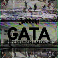 Thumbnail for the Joddski - Gata Remixer link, provided by host site