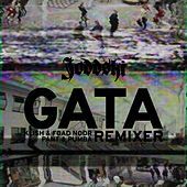 Thumbnail for the Joddski - Gata Remixer link, provided by host site