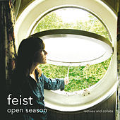 Thumbnail for the Feist - Gatekeeper (Do Right Remix) link, provided by host site