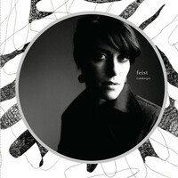 Thumbnail for the Feist - Gatekeeper (Radio Version) link, provided by host site