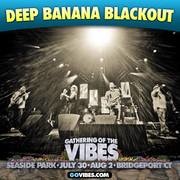 Thumbnail for the Deep Banana Blackout - Gathering of the Vibes, Seaside Park link, provided by host site