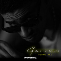 Thumbnail for the Ferr - Gattuso link, provided by host site