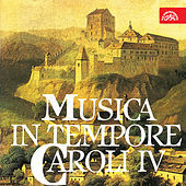 Thumbnail for the Prague Madrigal Singers and Orchestra (New Madrigal and Consort Singers) - Gaude dei genetrix - Gaude virgo mater - Gaude virgo Maria link, provided by host site