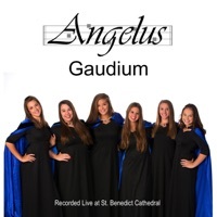 Thumbnail for the angelus - Gaudium link, provided by host site
