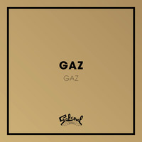 Thumbnail for the GAZ - Gaz link, provided by host site