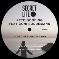 Thumbnail for the Pete Gooding - Gazing in Blue link, provided by host site