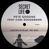 Thumbnail for the Pete Gooding - Gazing in Blue link, provided by host site