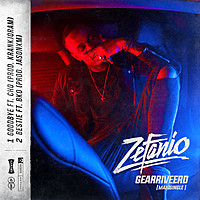 Thumbnail for the Zefanio - Gearriveerd link, provided by host site