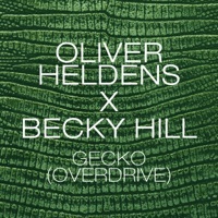 Thumbnail for the Becky Hill - Gecko (Overdrive) [Flashmob Remix] link, provided by host site