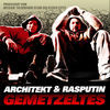 Thumbnail for the The Architekt - Gemetzeltes link, provided by host site
