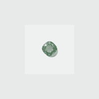 Thumbnail for the Celer - GEMS I (reduction) link, provided by host site
