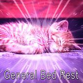 Image of All Night Sleeping Songs to Help You Relax linking to their artist page due to link from them being at the top of the main table on this page