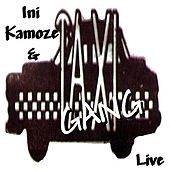 Thumbnail for the Ini Kamoze - General link, provided by host site