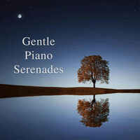 Thumbnail for the Johann Sebastian Bach - Gentle Piano Serenades link, provided by host site