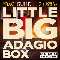Thumbnail for the Paula Robison - George Frederic Handel: Sonata for Flute and Harpsichord, Op. 1, No. 1B: III. Adagio link, provided by host site