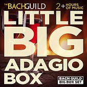 Thumbnail for the Paula Robison - George Frederic Handel: Sonata for Flute and Harpsichord, Op. 1, No. 1B: III. Adagio link, provided by host site