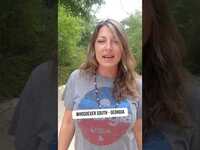 Thumbnail for the Whosoever South - Georgia link, provided by host site