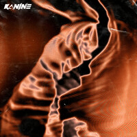 Thumbnail for the Kanine - Get Down link, provided by host site