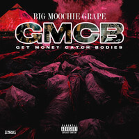Thumbnail for the Big Moochie Grape - Get Money Catch Bodies link, provided by host site