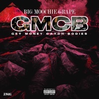 Thumbnail for the Big Moochie Grape - Get Money Catch Bodies link, provided by host site