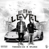 Thumbnail for the Throwed Ese - Get On My Level link, provided by host site