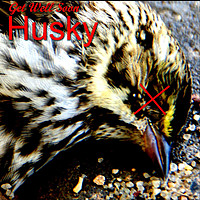 Thumbnail for the Husky - Get Well Soon link, provided by host site