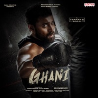 Thumbnail for the Aditya Iyengar - Ghani Anthem link, provided by host site