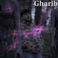 Thumbnail for the Akila - Gharib link, provided by host site