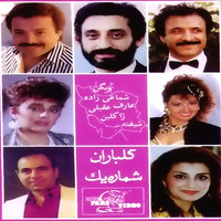 Thumbnail for the Fataneh - Gholi Sar Sabad link, provided by host site