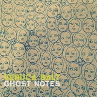 Thumbnail for the Veruca Salt - Ghost Notes link, provided by host site