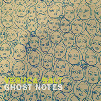 Thumbnail for the Veruca Salt - Ghost Notes link, provided by host site