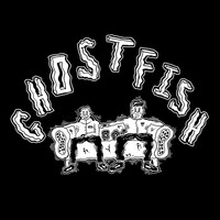 Thumbnail for the DLR - Ghostfish link, provided by host site