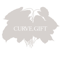 Thumbnail for the Curve - Gift link, provided by host site