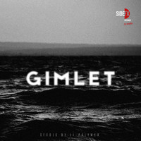 Thumbnail for the Li-Polymer - Gimlet link, provided by host site