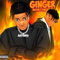 Thumbnail for the Mayan - Ginger link, provided by host site