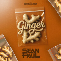 Thumbnail for the Sean Paul - Ginger link, provided by host site