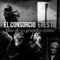 Thumbnail for the El Consorcio - Gitano link, provided by host site